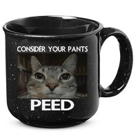 Consider Your Pants Peed Cat Funny Silly Cat Meme 15oz Campfire Ceramic Mug