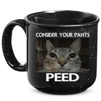 Consider Your Pants Peed Cat Funny Silly Cat Meme 15oz Campfire Ceramic Mug