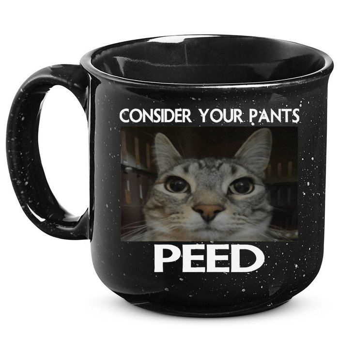 Consider Your Pants Peed Cat Funny Silly Cat Meme 15oz Campfire Ceramic Mug