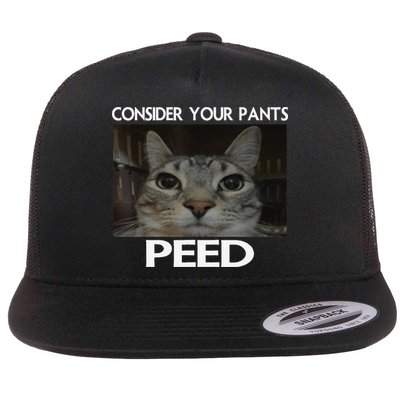 Consider Your Pants Peed Cat Funny Silly Cat Meme Flat Bill Trucker Hat