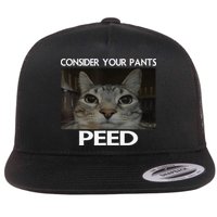 Consider Your Pants Peed Cat Funny Silly Cat Meme Flat Bill Trucker Hat