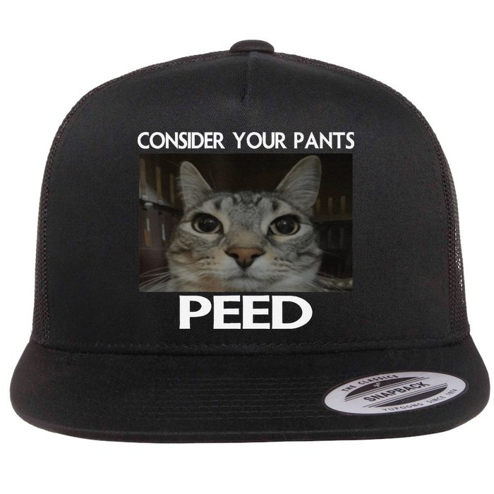 Consider Your Pants Peed Cat Funny Silly Cat Meme Flat Bill Trucker Hat