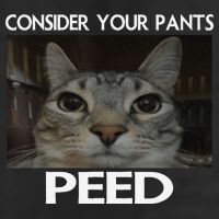 Consider Your Pants Peed Cat Funny Silly Cat Meme Tumbler