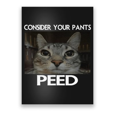 Consider Your Pants Peed Cat Funny Silly Cat Meme Poster
