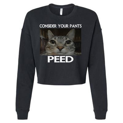 Consider Your Pants Peed Cat Funny Silly Cat Meme Cropped Pullover Crew