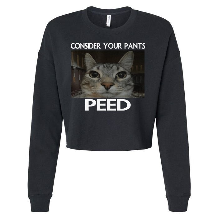 Consider Your Pants Peed Cat Funny Silly Cat Meme Cropped Pullover Crew