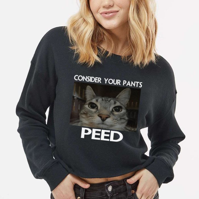 Consider Your Pants Peed Cat Funny Silly Cat Meme Cropped Pullover Crew