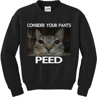 Consider Your Pants Peed Cat Funny Silly Cat Meme Kids Sweatshirt