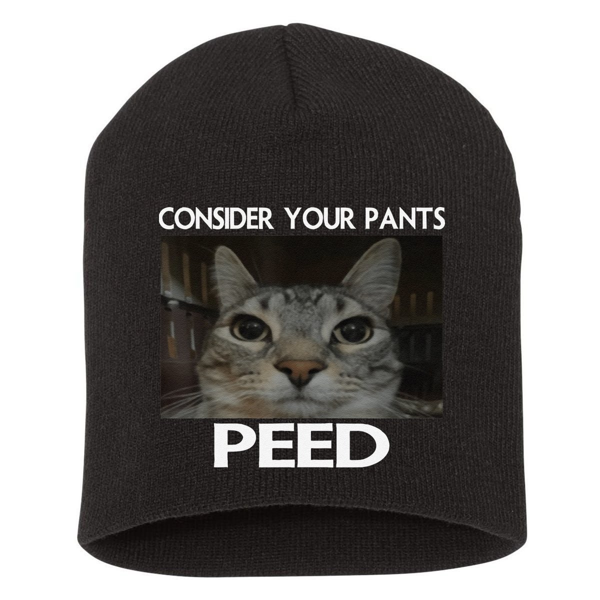 Consider Your Pants Peed Cat Funny Silly Cat Meme Short Acrylic Beanie