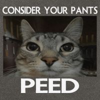 Consider Your Pants Peed Cat Funny Silly Cat Meme Cotton Canvas Backpack