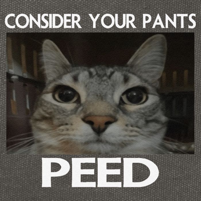 Consider Your Pants Peed Cat Funny Silly Cat Meme Cotton Canvas Backpack