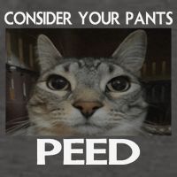 Consider Your Pants Peed Cat Funny Silly Cat Meme Vector Backpack