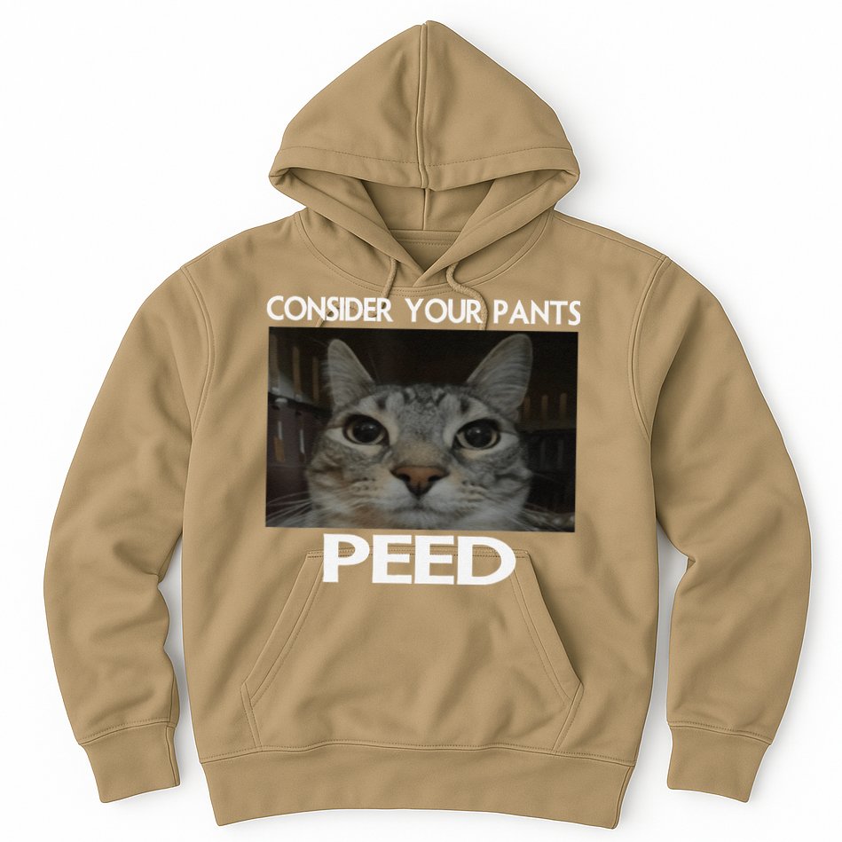 Consider Your Pants Peed Cat Funny Silly Cat Meme Hoodie