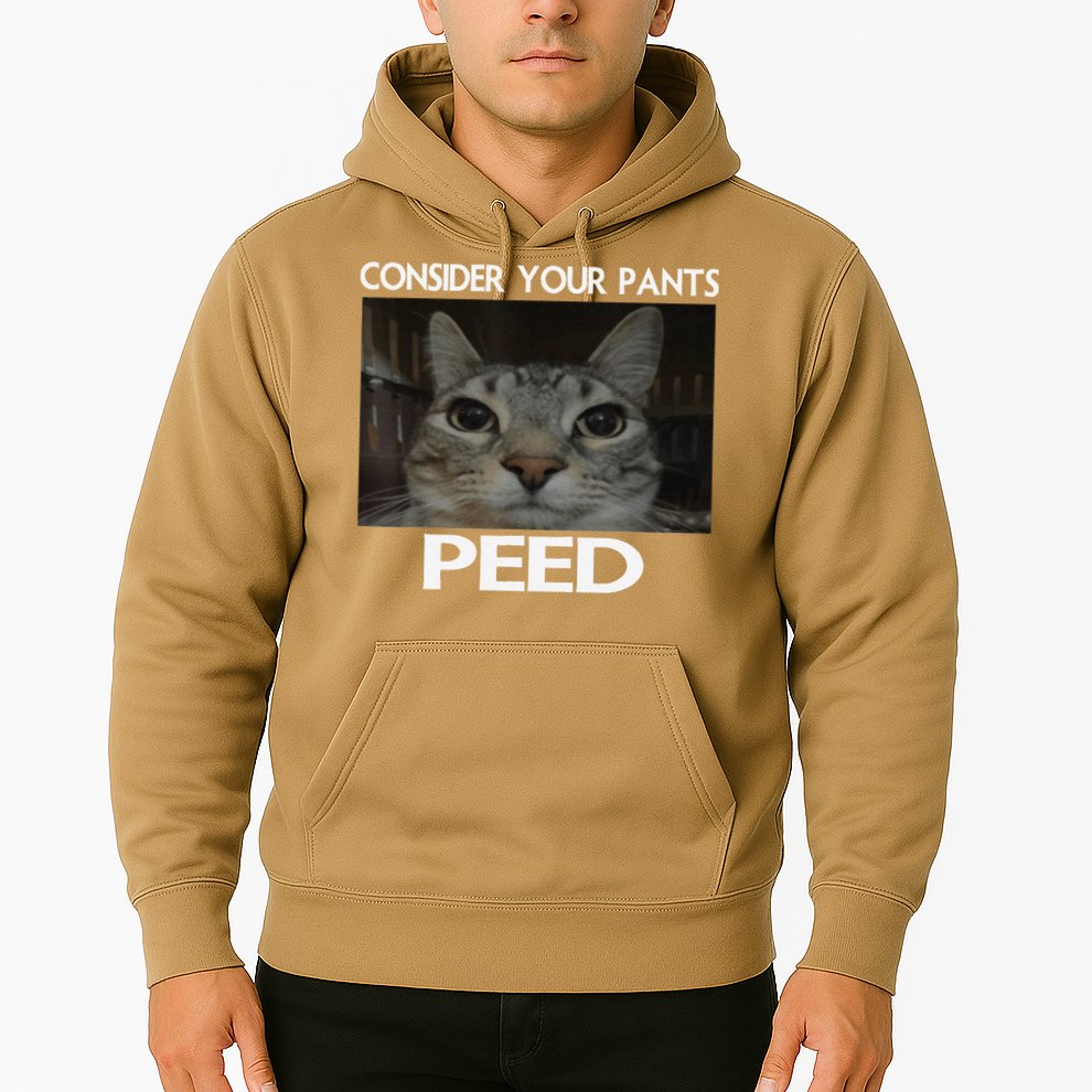 Consider Your Pants Peed Cat Funny Silly Cat Meme Hoodie