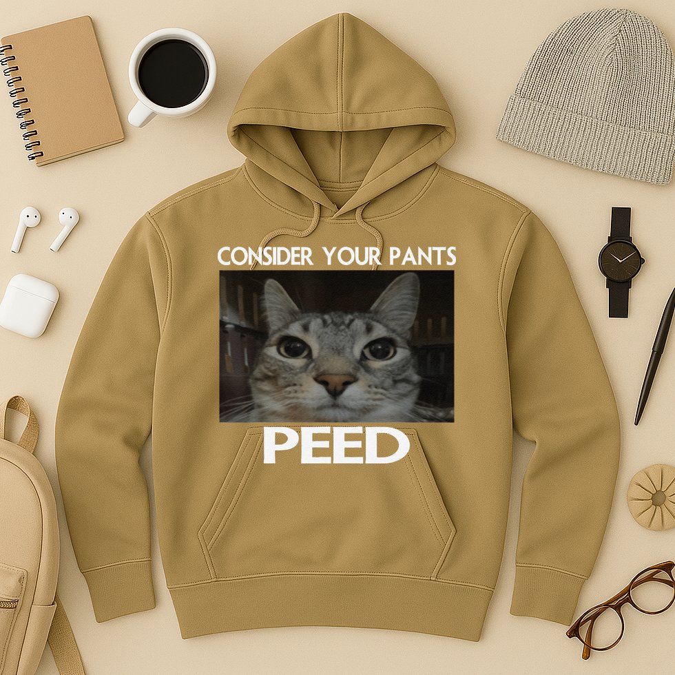 Consider Your Pants Peed Cat Funny Silly Cat Meme Hoodie