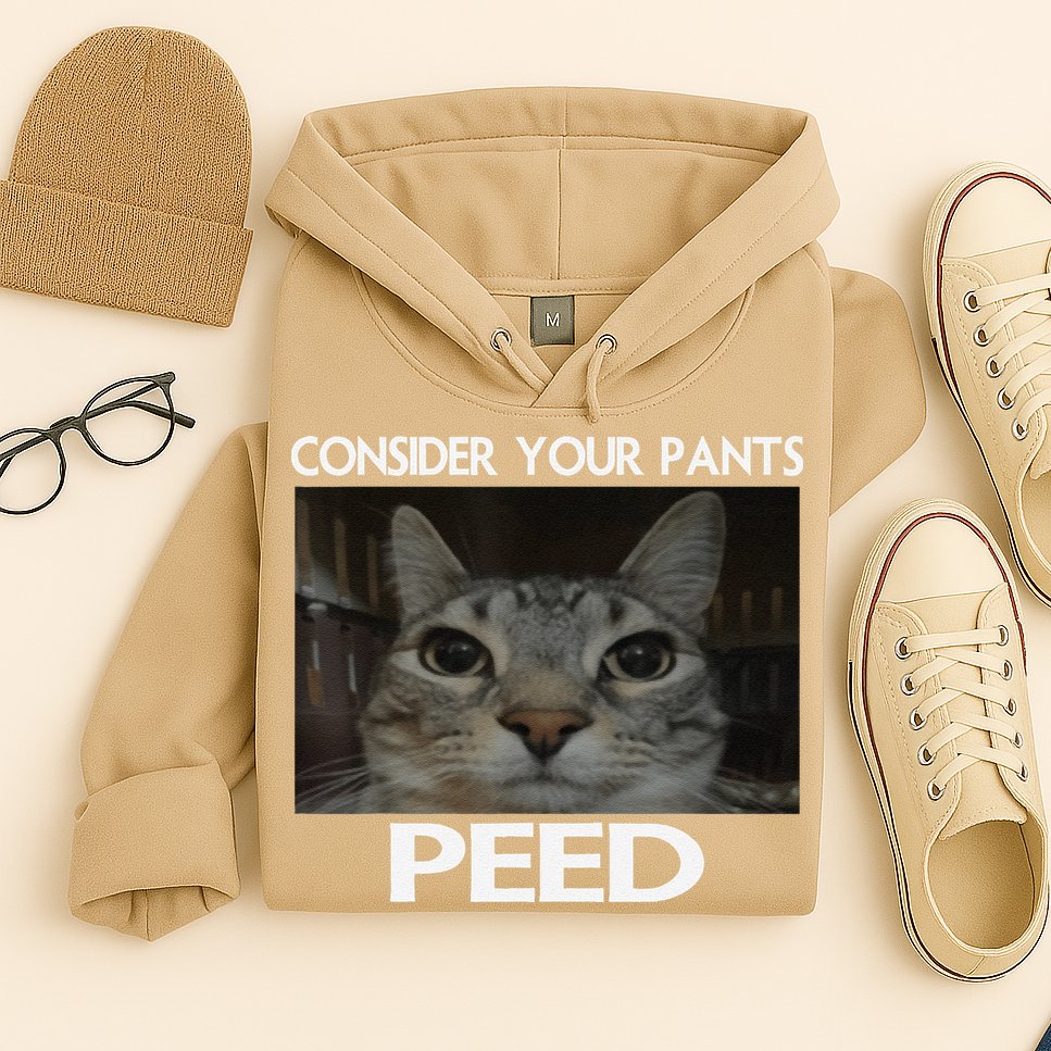 Consider Your Pants Peed Cat Funny Silly Cat Meme Hoodie
