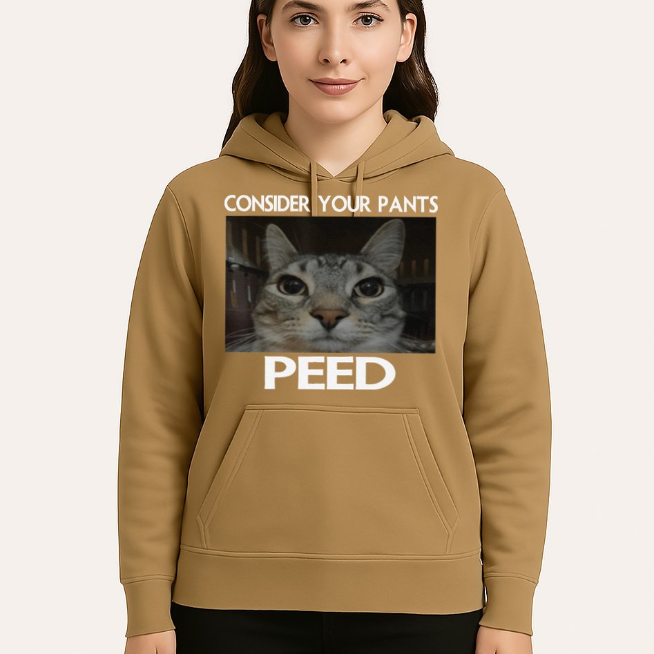 Consider Your Pants Peed Cat Funny Silly Cat Meme Hoodie