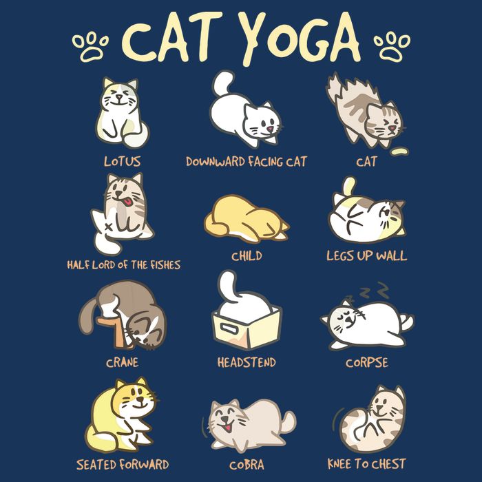 Cat Yoga Poses Cats Practicing Mindfulness Meditation Kitten Cooling Performance Crew T-Shirt