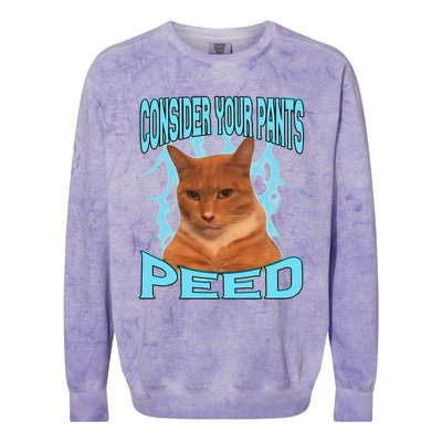 Consider Your Pants Peed Silly Cat Meme Colorblast Crewneck Sweatshirt