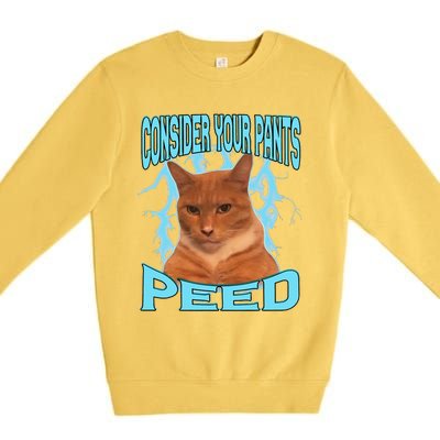 Consider Your Pants Peed Silly Cat Meme Premium Crewneck Sweatshirt