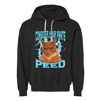 Consider Your Pants Peed Silly Cat Meme Garment-Dyed Fleece Hoodie