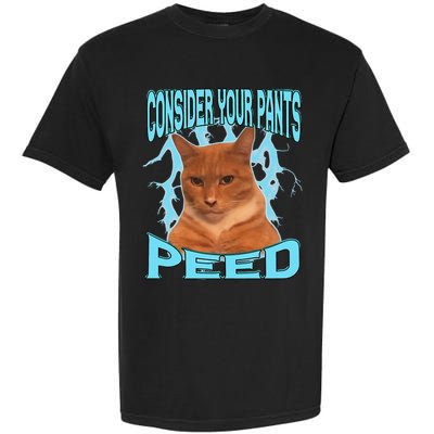 Consider Your Pants Peed Silly Cat Meme Garment-Dyed Heavyweight T-Shirt