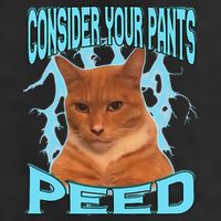 Consider Your Pants Peed Silly Cat Meme 7 Panel Mesh Trucker Snapback Hat