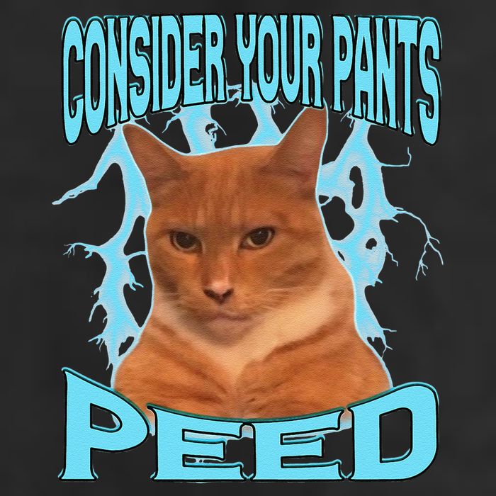 Consider Your Pants Peed Silly Cat Meme 7 Panel Mesh Trucker Snapback Hat