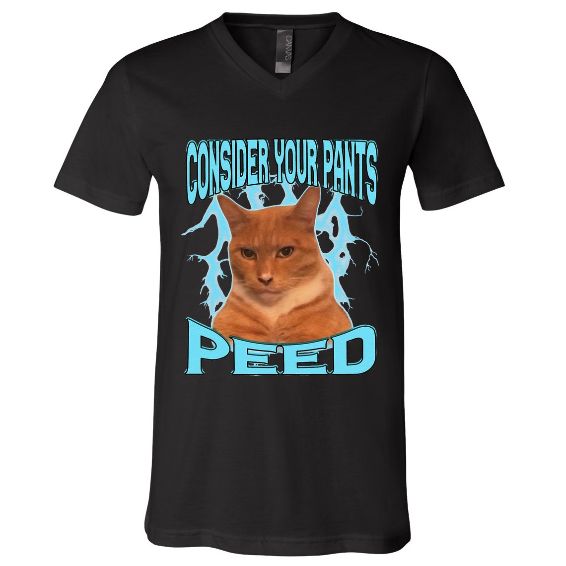 Consider Your Pants Peed Silly Cat Meme V-Neck T-Shirt