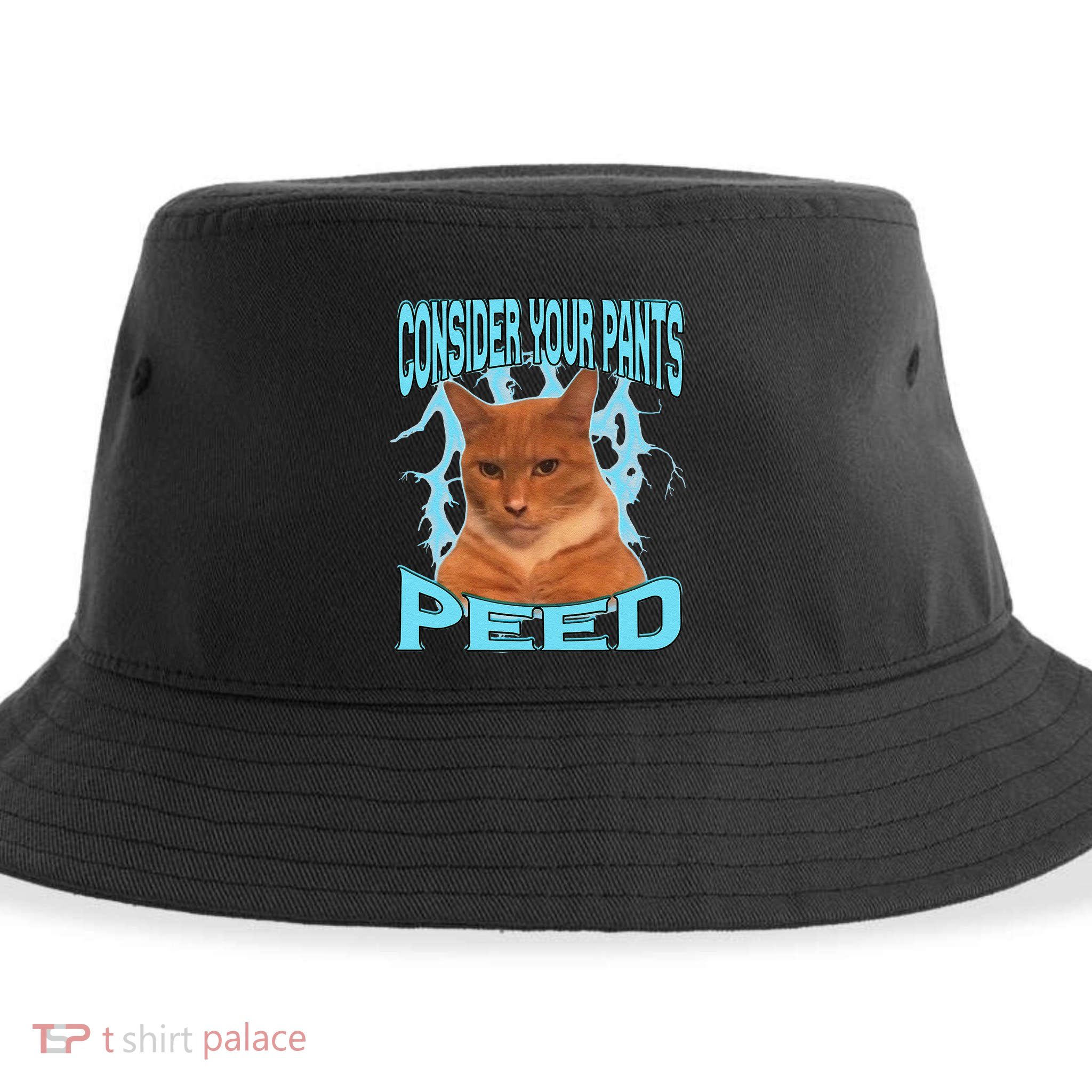 Consider Your Pants Peed Silly Cat Meme Sustainable Bucket Hat