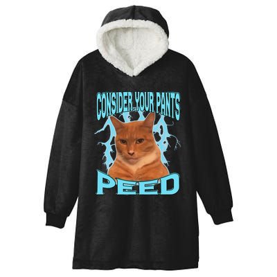 Consider Your Pants Peed Silly Cat Meme Hooded Wearable Blanket