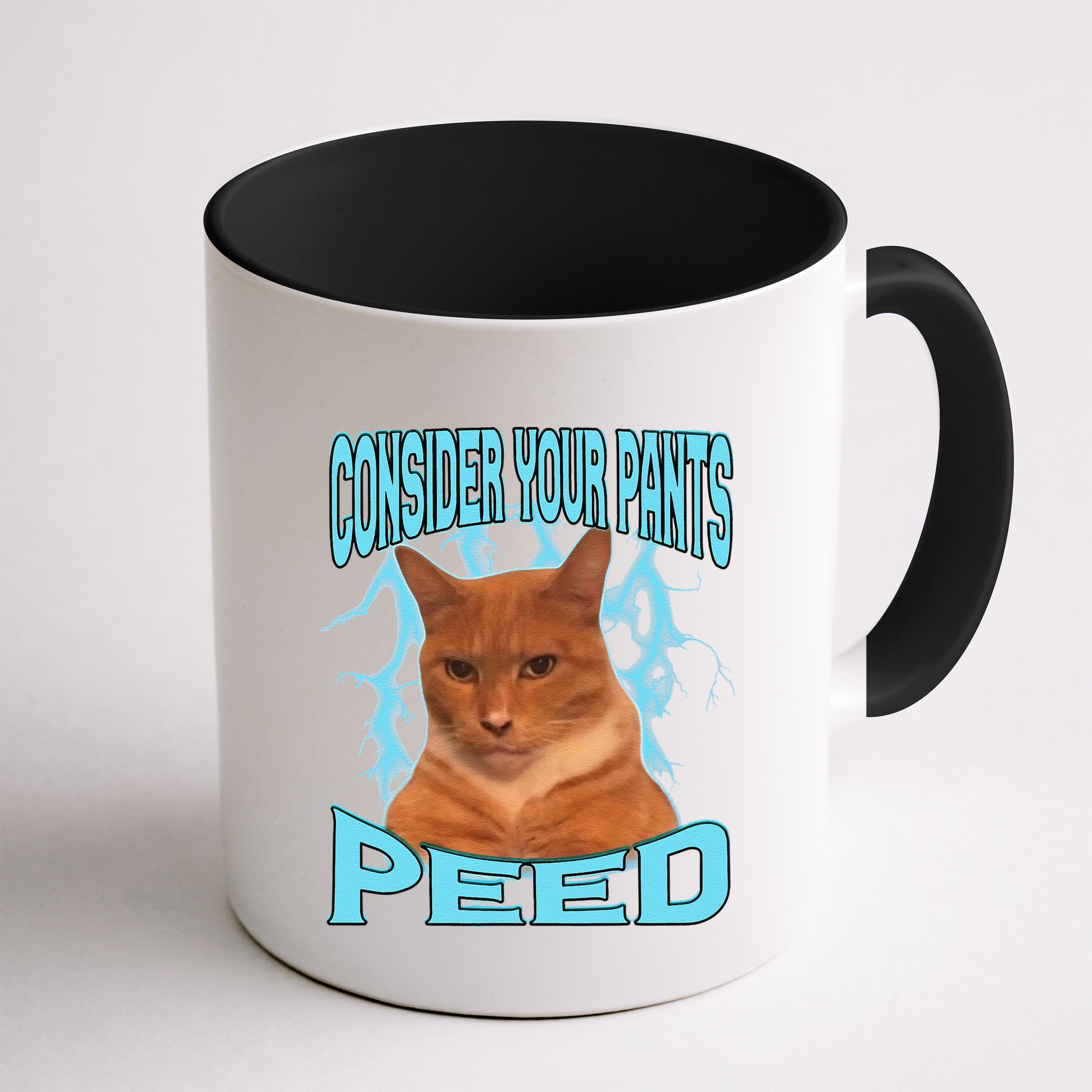 Consider Your Pants Peed Silly Cat Meme Mug