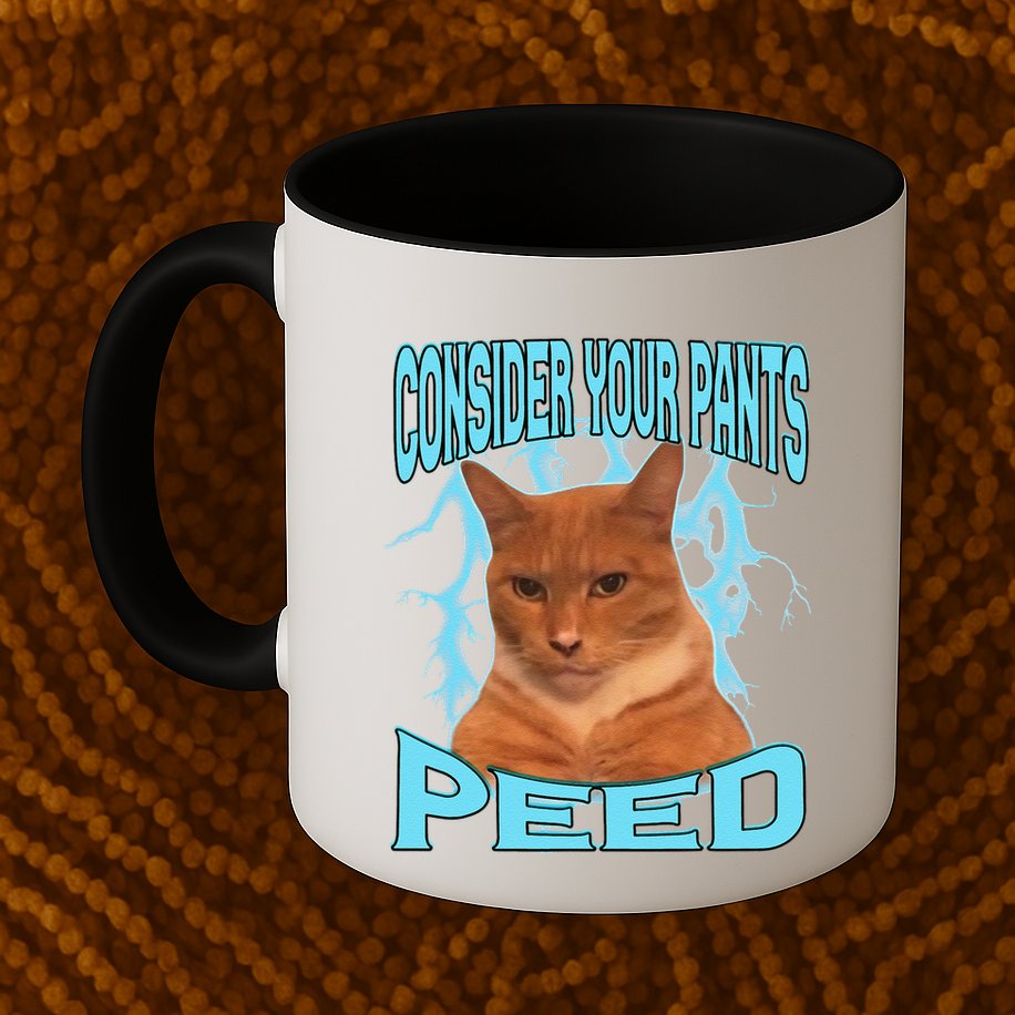 Consider Your Pants Peed Silly Cat Meme Mug