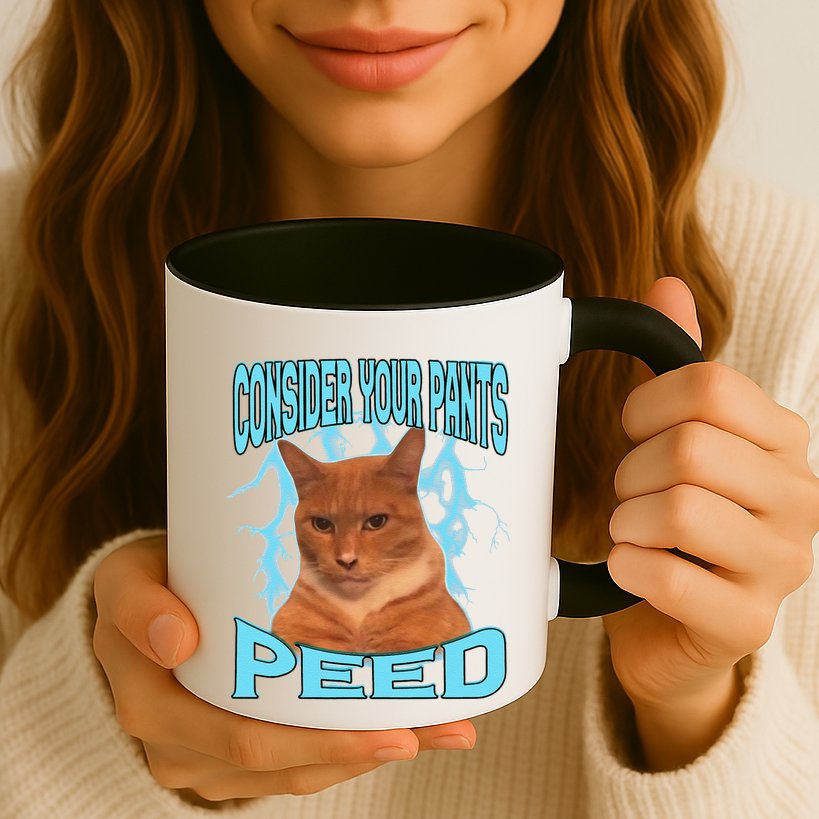Consider Your Pants Peed Silly Cat Meme Mug