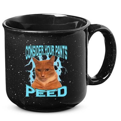 Consider Your Pants Peed Silly Cat Meme 15oz Campfire Ceramic Mug