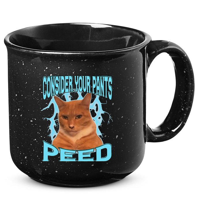 Consider Your Pants Peed Silly Cat Meme 15oz Campfire Ceramic Mug
