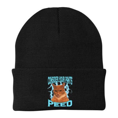 Consider Your Pants Peed Silly Cat Meme Beanie