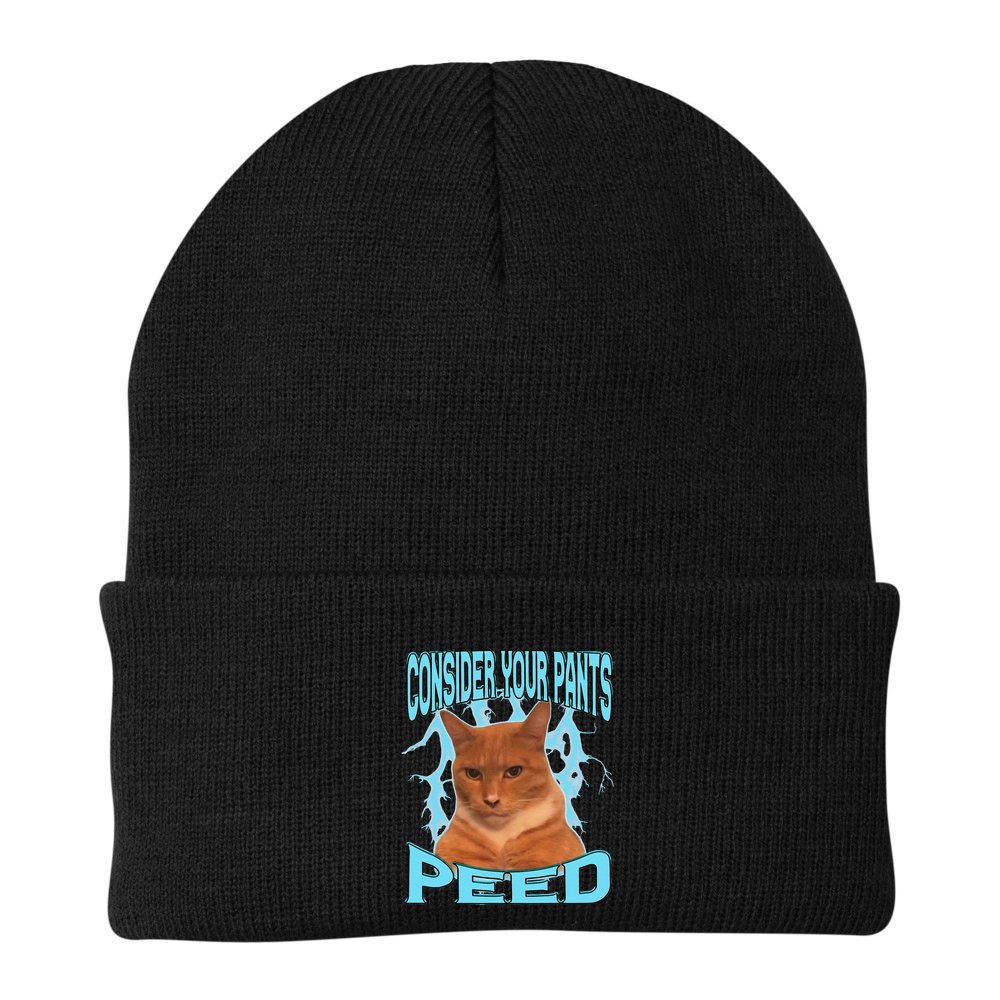 Consider Your Pants Peed Silly Cat Meme Beanie
