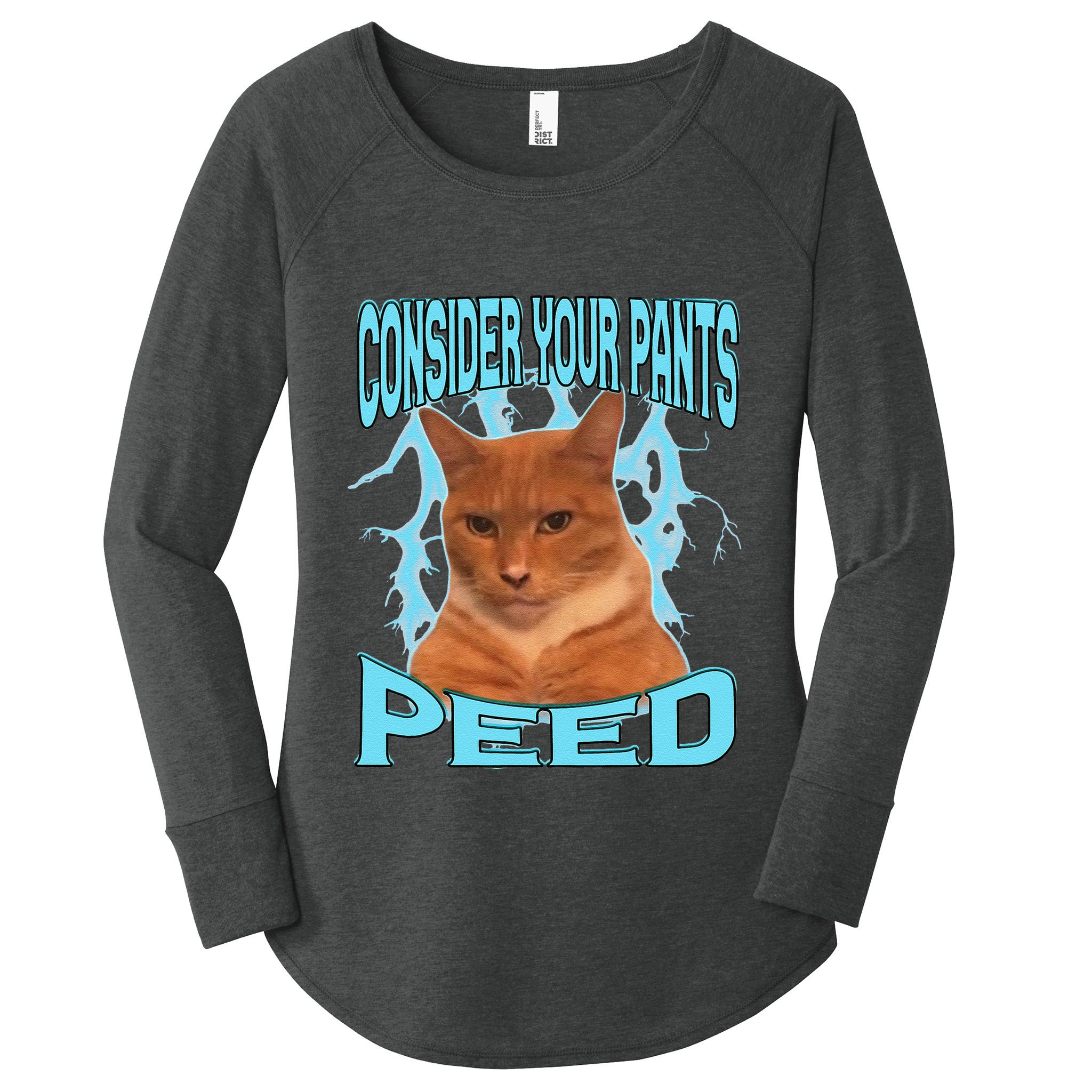 Consider Your Pants Peed Silly Cat Meme Women's Perfect Tri Tunic Long Sleeve Shirt