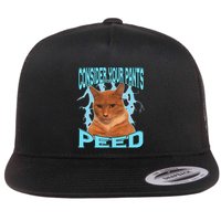Consider Your Pants Peed Silly Cat Meme Flat Bill Trucker Hat
