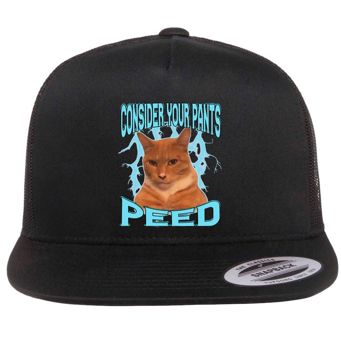 Consider Your Pants Peed Silly Cat Meme Flat Bill Trucker Hat