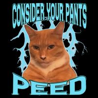 Consider Your Pants Peed Silly Cat Meme 16 in Basic Backpack