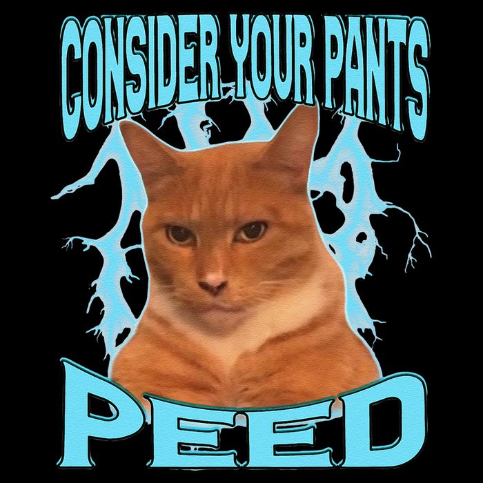 Consider Your Pants Peed Silly Cat Meme 16 in Basic Backpack