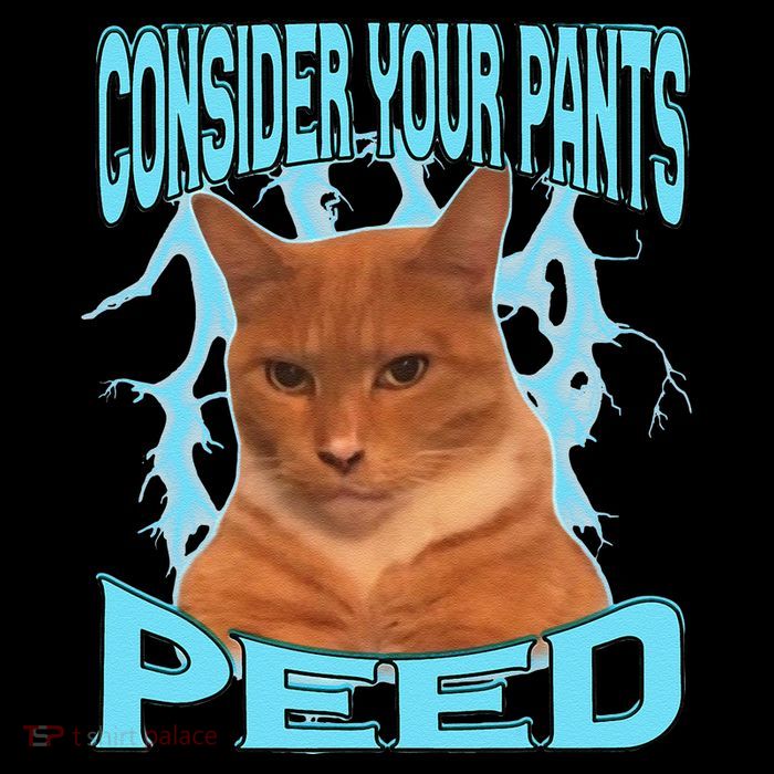 Consider Your Pants Peed Silly Cat Meme Mesh Reversible Basketball Jersey Tank