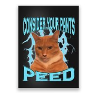 Consider Your Pants Peed Silly Cat Meme Poster
