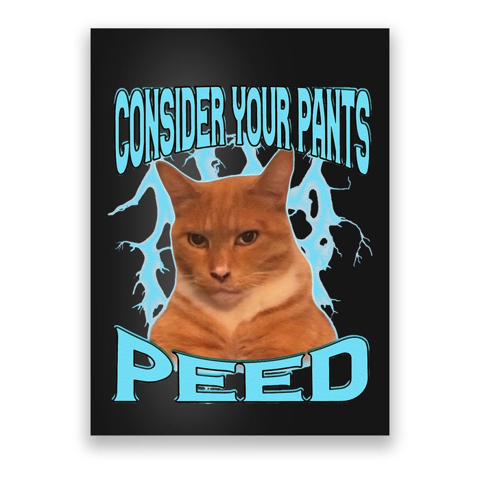 Consider Your Pants Peed Silly Cat Meme Poster