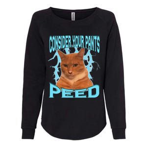 Consider Your Pants Peed Silly Cat Meme Womens California Wash Sweatshirt