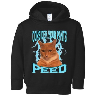 Consider Your Pants Peed Silly Cat Meme Toddler Hoodie