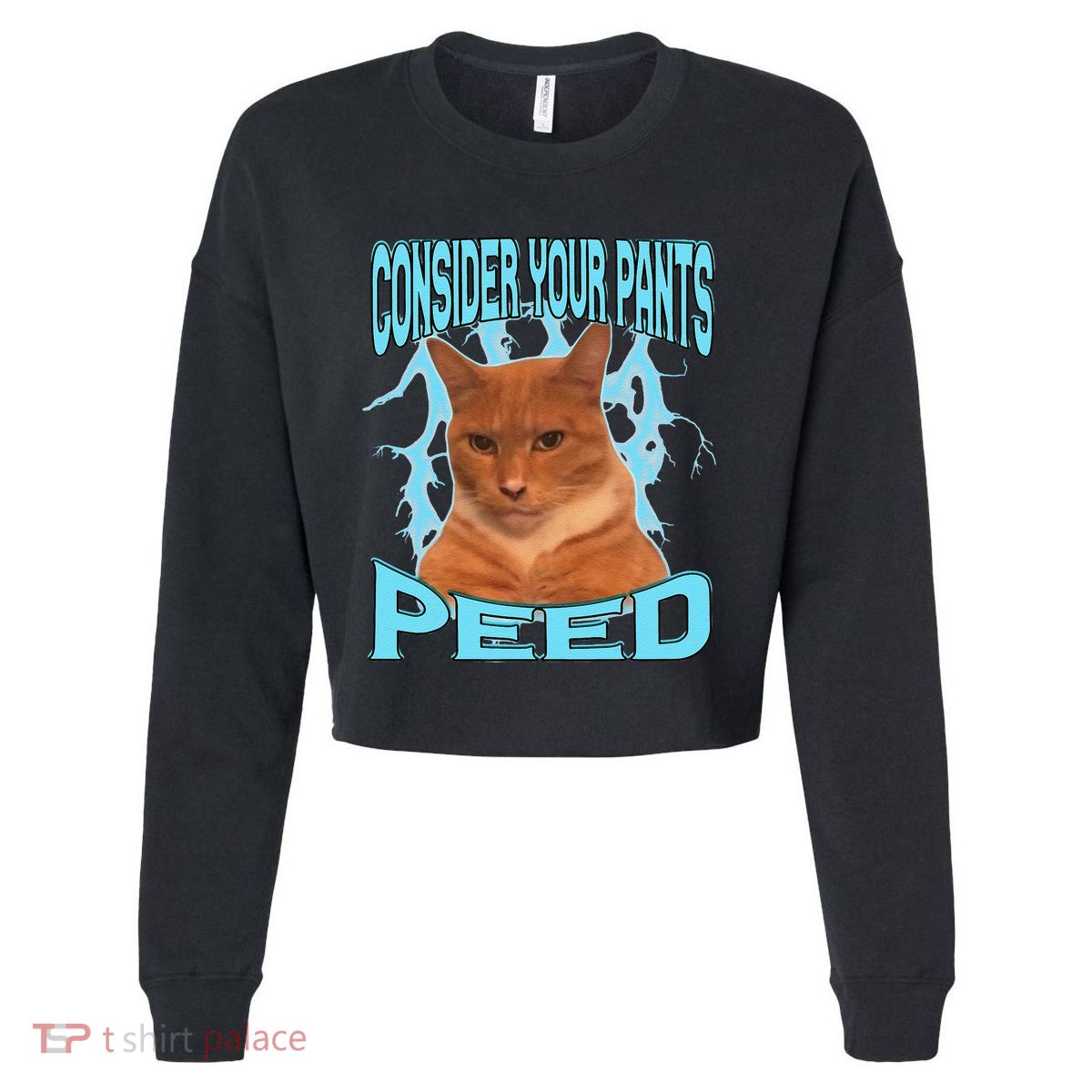 Consider Your Pants Peed Silly Cat Meme Cropped Pullover Crew