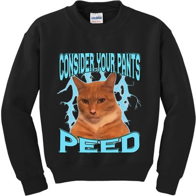 Consider Your Pants Peed Silly Cat Meme Kids Sweatshirt